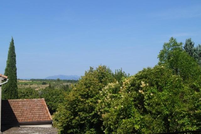La Maison De Gabriel Villeneuve-de-Berg Dış mekan fotoğraf